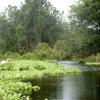 Voyage au Nicaragua du groupe de Jean-Pierre