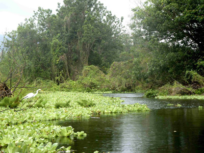 Voyage au Nicaragua du groupe de Jean-Pierre