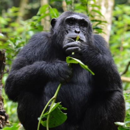 Voyage en Ouganda de Sandra