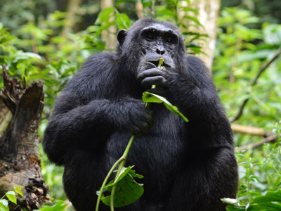 Voyage en Ouganda de Sandra