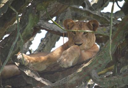 Voyage en Ouganda de Sandra