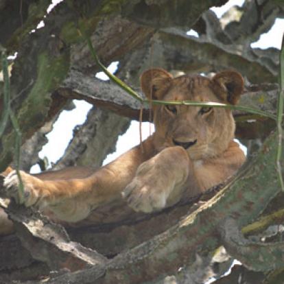Voyage en Ouganda de Sandra