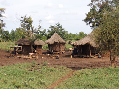 Voyage en Ouganda de Sandra