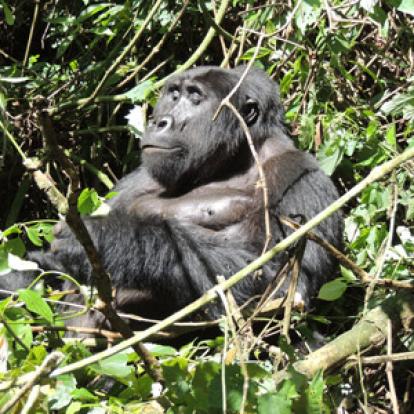 Voyage en Ouganda de Sandra