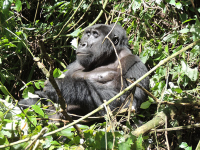 Voyage en Ouganda de Sandra