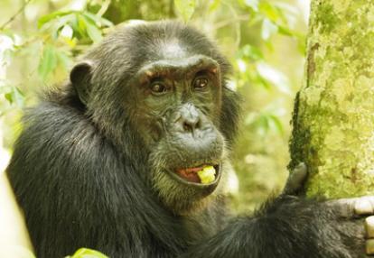 Voyage en Ouganda de Bernard et Dominique