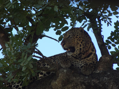 Voyage en Ouganda de Claude