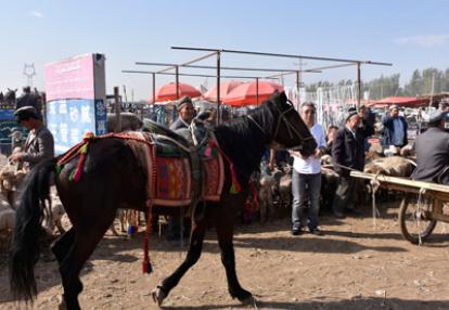 Voyage en Ouzbékistan d'Erik