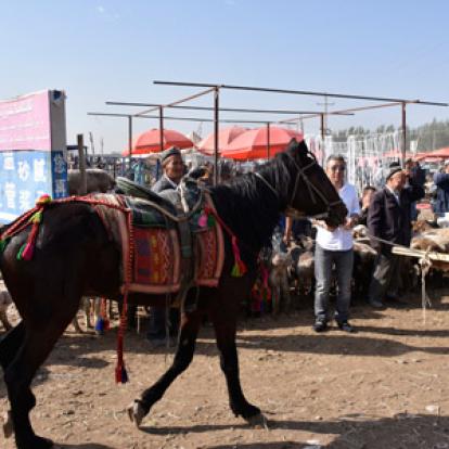 Voyage en Ouzbékistan d'Erik