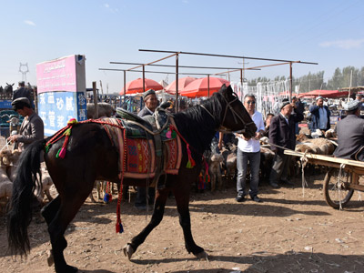 Voyage en Ouzbékistan d'Erik