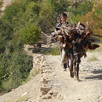 ©Patricia B. - Tous Droits Réservés Voyage en Ouzbékistan de Patricia