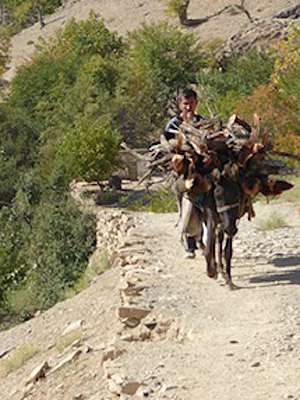 ©Patricia B. - Tous Droits réservés Voyage en Ouzbékistan de Patricia