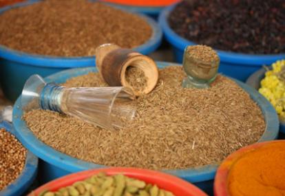 Voyage en Ouzbékistan de Christophe