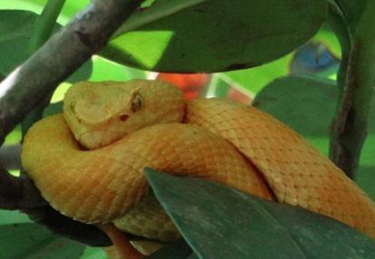 Voyage au Costa Rica de Jérôme