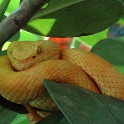 Voyage au Costa Rica de Jérôme