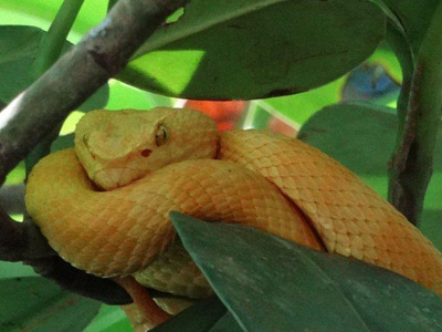 Voyage au Costa Rica de Jérôme