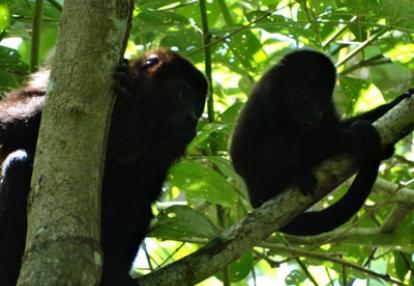 Voyage au Costa Rica de Jérôme