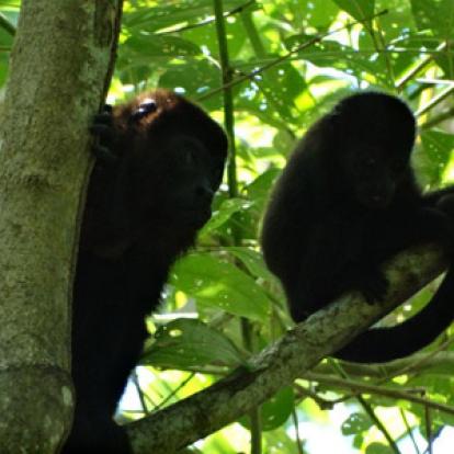 Voyage au Costa Rica de Jérôme
