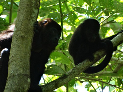 Voyage au Costa Rica de Jérôme