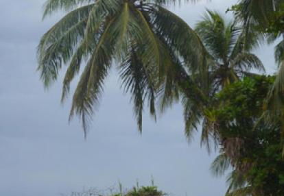 Voyage Panama de la Famille de Pascal