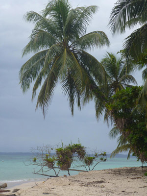 Voyage Panama de la Famille de Pascal