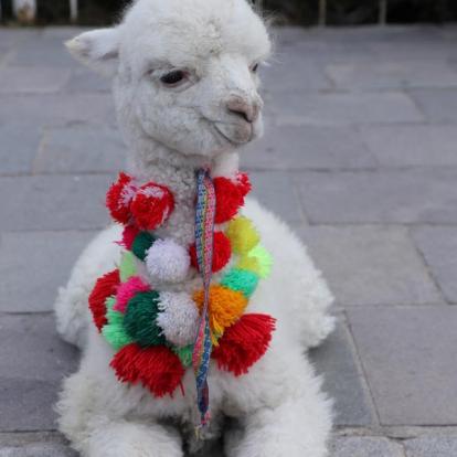 Voyage au Pérou de Dominique, Françoise et Patrick