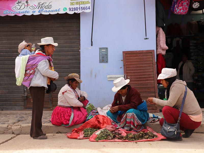 Voyage au Pérou de Dominique, Françoise et Patrick