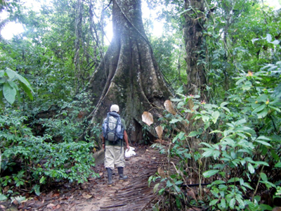 Voyage au Pérou de Monique
