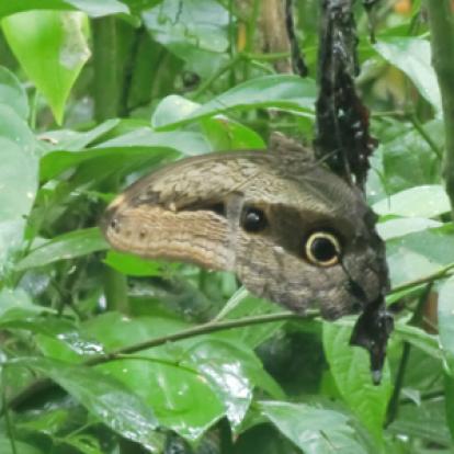Voyage au Pérou de Monique