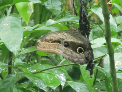 Voyage au Pérou de Monique