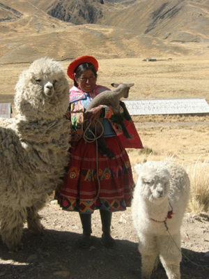 Voyage au Pérou de Monique