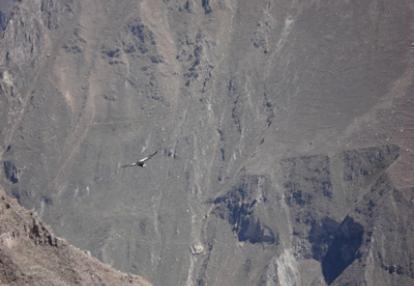 Voyage au Pérou d'Olivier