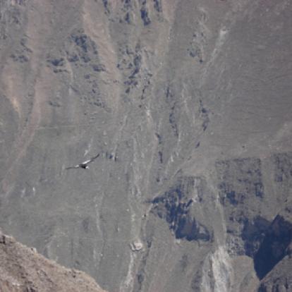 Voyage au Pérou d'Olivier