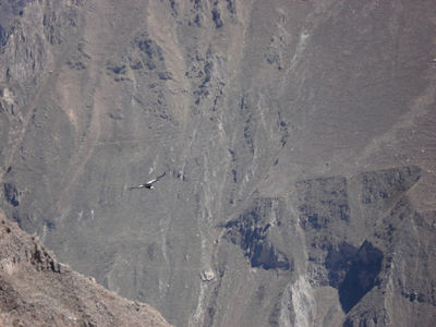 Voyage au Pérou d'Olivier