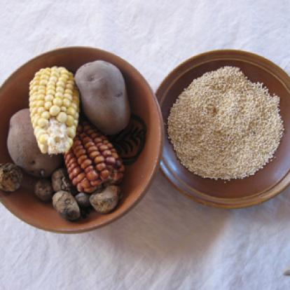 Voyage au Pérou d'Olivier