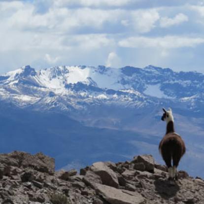 Voyage au Pérou de Laurence
