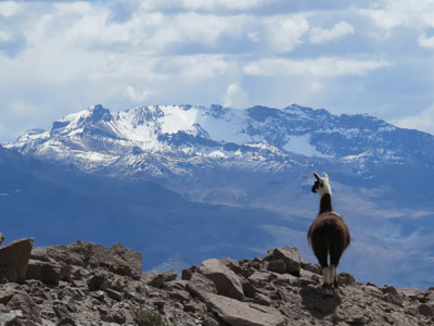 Voyage au Pérou de Laurence