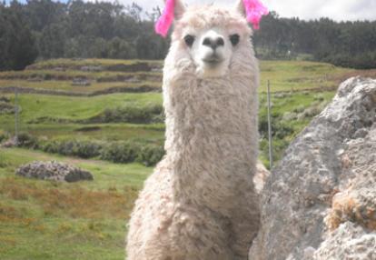 Voyage au Pérou de Stéphane