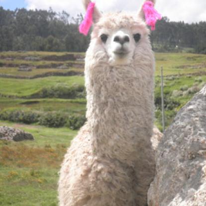 Voyage au Pérou de Stéphane