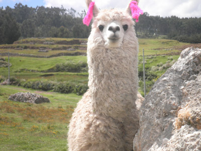 Voyage au Pérou de Stéphane