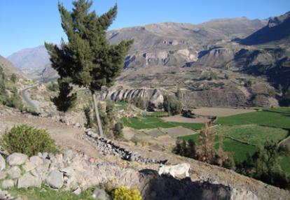 Voyage au Pérou d'Anita 