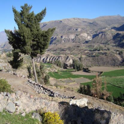 Voyage au Pérou d'Anita 