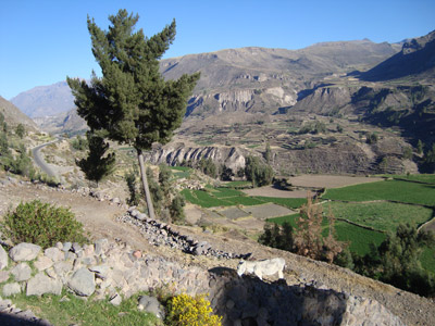 Voyage au Pérou d'Anita 