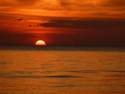 ©Priscilla M. - Tous Droits réservés