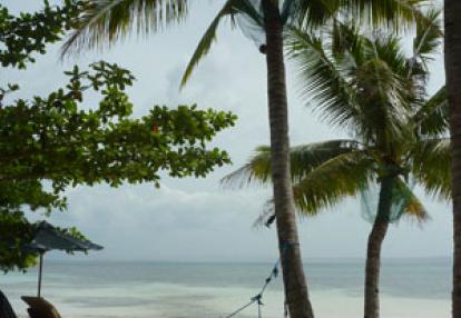 Voyage aux Philippines - Avis de Priscilla