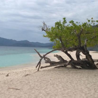 Voyage aux Philippines - Avis de Monique et David