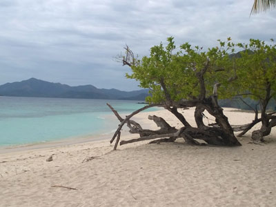 Voyage aux Philippines - Avis de Monique et David