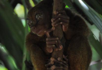 Voyage aux Philippines de Véronique et Stéphanez