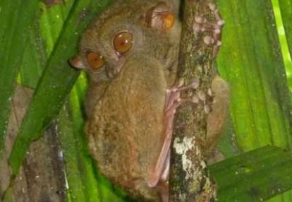 ©Yannick T. - Tous Droits réservés