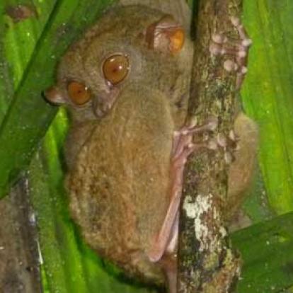 ©Yannick T. - Tous Droits réservés